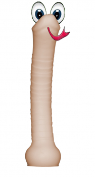 Schwanzkopfschlange1