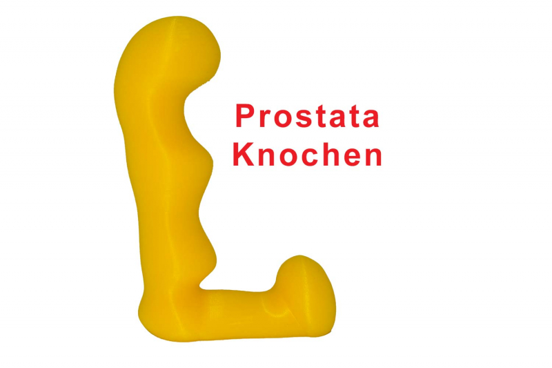 The prostate bone